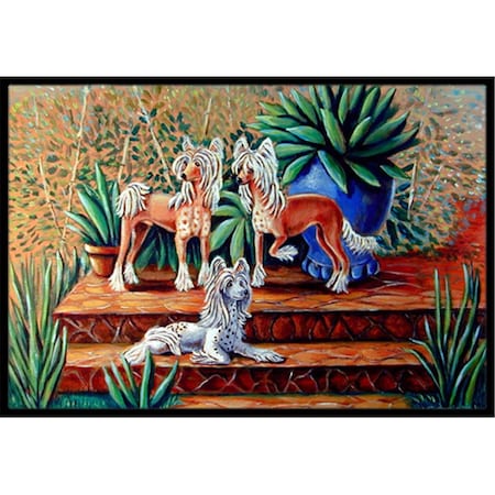 Carolines Treasures 24 x 36 in. Chinese Crested Indoor Or Outdoor Doormat 7505JMAT
